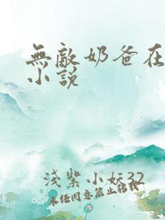 无敌奶爸在都市小说