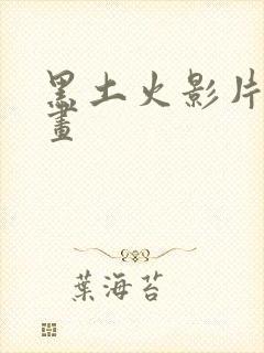 黑土火影片子漫画