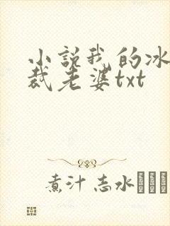 小说我的冰山总裁老婆txt