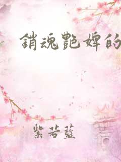 销魂艳婢的小说