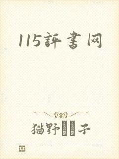 115评书网