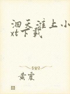 洄天淮上小说txt下载