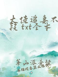 大佬追妻不择手段 txt全本