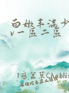 白嫩丰满少妇av一区二区