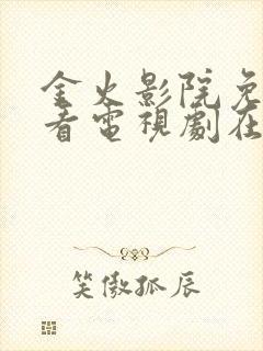 金火影院免费观看电视剧在线播放