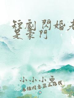 短剧 闪婚老伴是豪门