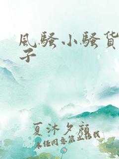 风骚小骚货大奶子