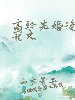 高干先婚后爱甜宠文