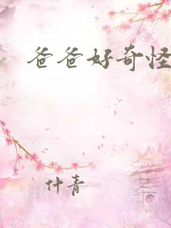 爸爸好奇怪韩剧
