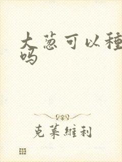 大葱可以种重茬吗