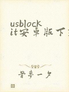usblockit安卓版下载