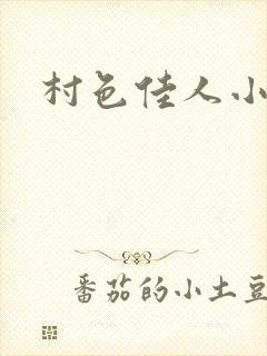 村色佳人小说