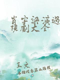 肖宇梁演过的电视剧大全