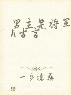 男主是将军的高h古言