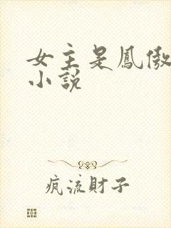 女主是凤傲天的小说