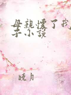 母亲怀了我的孩子小说