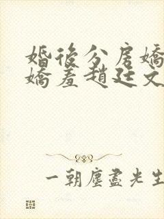 婚后分房娇夫别娇羞赵廷文方允的小说