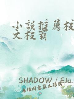 小说推荐校园甜文校霸