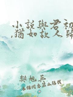 小说与君初相识,犹如故人归