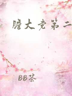 胆大党第二季6