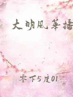 大明风华播放源