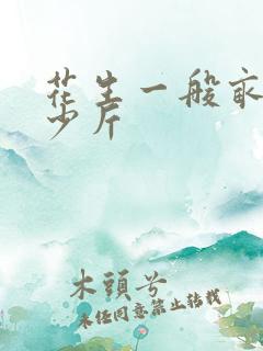 花生一般亩产多少斤