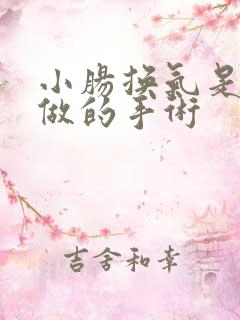 小肠换气是怎么做的手术