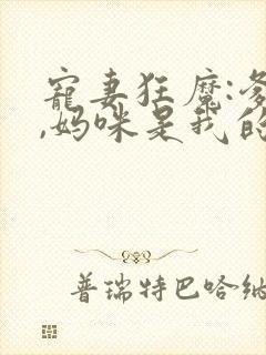 宠妻狂魔:爹地,妈咪是我的