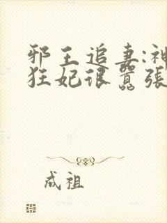 邪王追妻:神医狂妃很嚣张