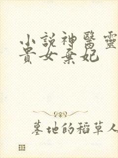 小说神医灵泉:贵女弃妃