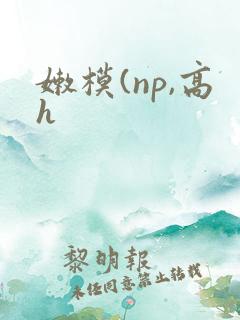 嫩模(np,高h 嫩模(np,高h