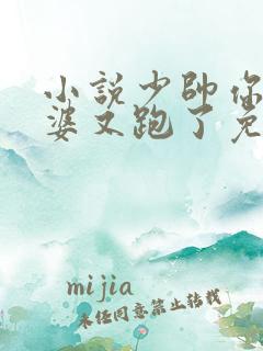 小说少帅你的老婆又跑了免费阅读