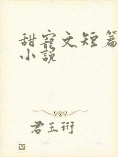甜宠文短篇完结小说