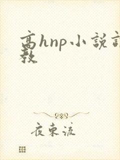 高hnp小说调教