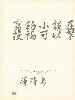 写的小说在哪里投稿可以拿到稿费