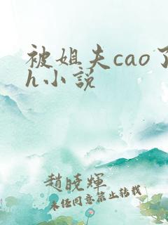 被姐夫cao了h小说