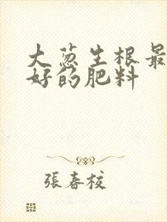 大葱生根最快最好的肥料