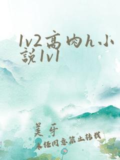1v2高肉h小说1v1