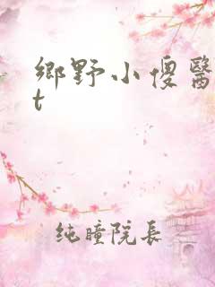 乡野小傻医txt