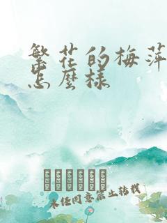 繁花的梅萍结局怎么样