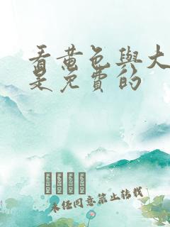看黄色与大黄色是免费的
