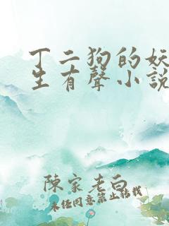 丁二狗的妖孽人生有声小说