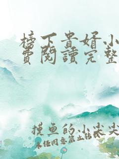 榜下贵婿小说免费阅读完整版在线