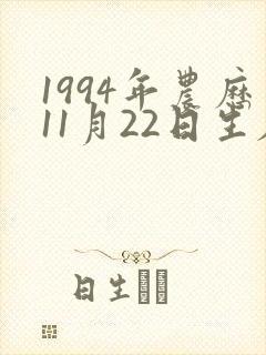 1994年农历11月22日生辰八字