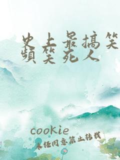 史上最搞笑的视频笑死人