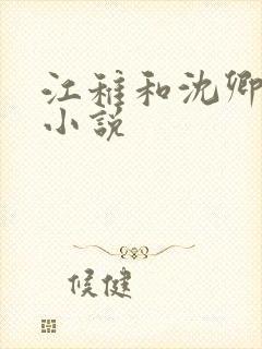 江稚和沈卿尘的小说