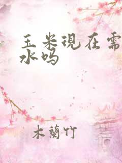 玉米现在需要浇水吗