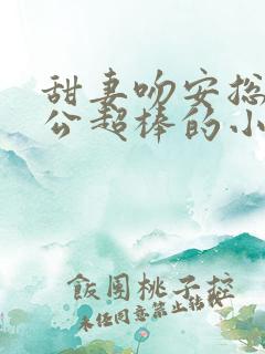 甜妻吻安总裁老公超棒的小说全集