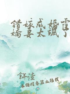 错嫁成婚霍少小娇妻太飒了