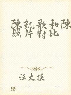 陈凯歌和陈飞宇照片对比